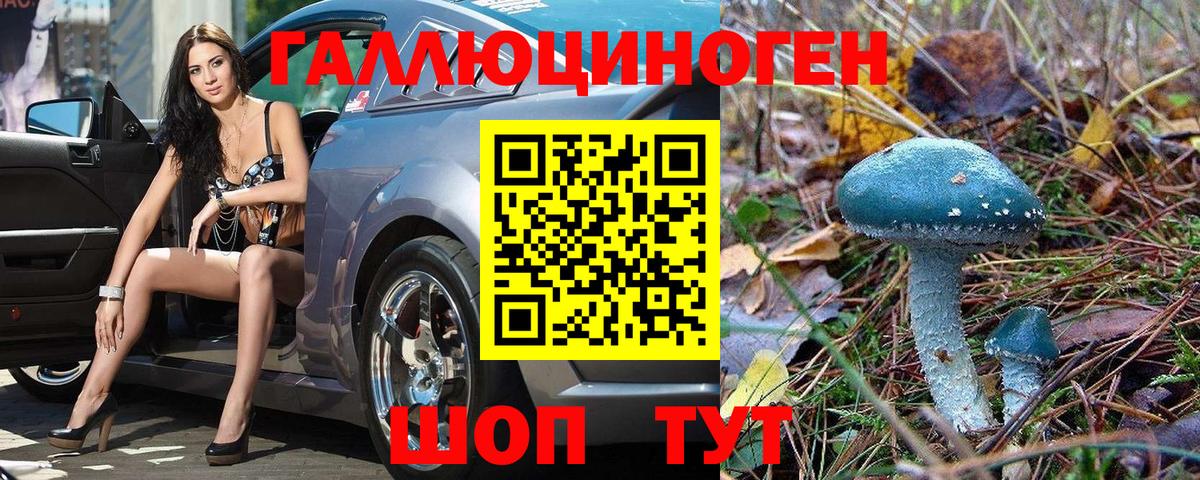 Галлюциногенные грибы MAGIC MUSHROOMS  Вход с VPN  Галлюциногенные грибы MAGIC MUSHROOMS  Майкоп 
